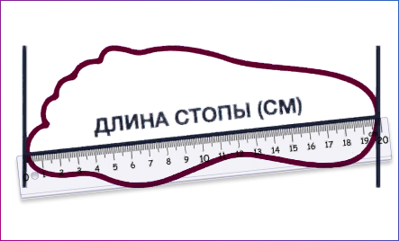 Измерение стопы_2.jpg