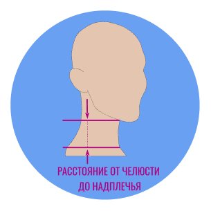 Высота шеи (2).png